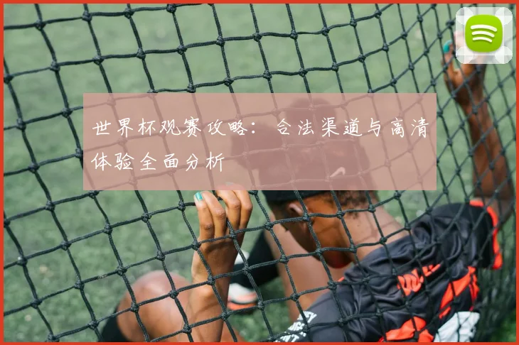 世界杯观赛攻略：合法渠道与高清体验全面分析
