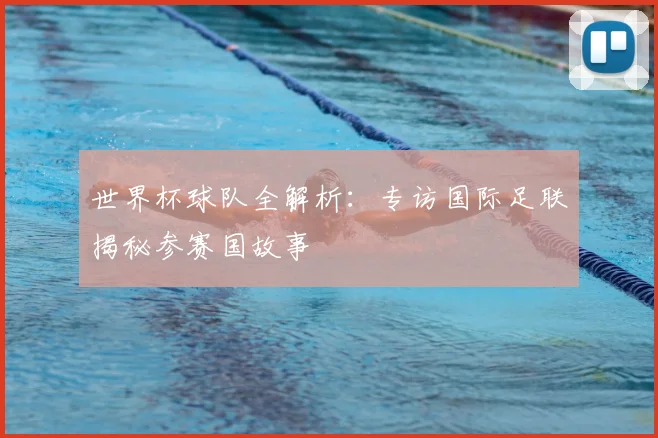 世界杯球队全解析：专访国际足联揭秘参赛国故事