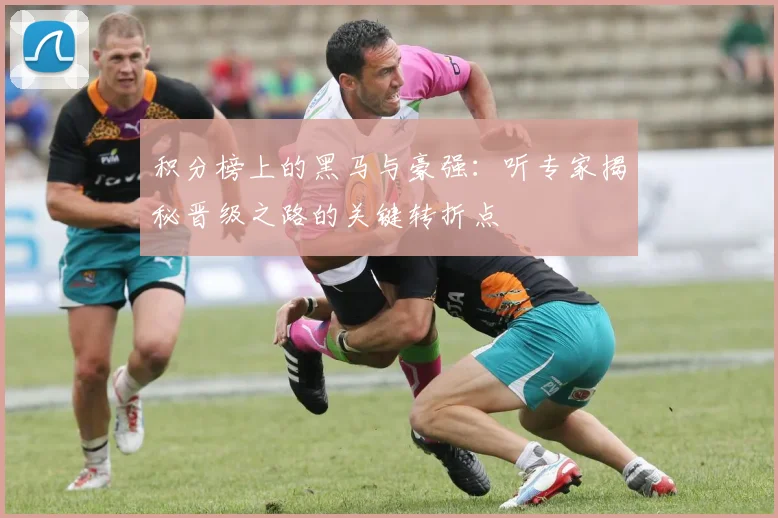 积分榜上的黑马与豪强：听专家揭秘晋级之路的关键转折点