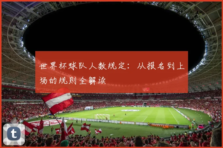 世界杯球队人数规定：从报名到上场的规则全解读