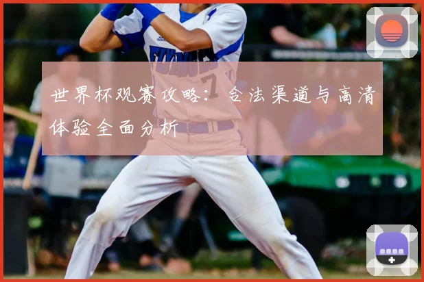 世界杯观赛攻略：合法渠道与高清体验全面分析