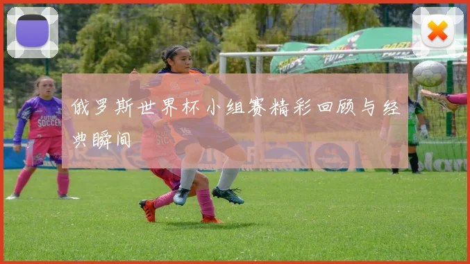 俄罗斯世界杯小组赛精彩回顾与经典瞬间