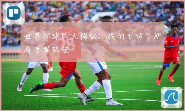 世界杯球队大揭秘：我们专访了所有参赛队伍