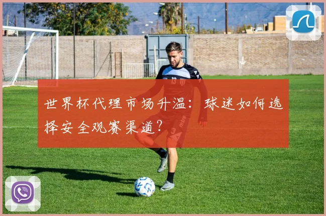 世界杯代理市场升温：球迷如何选择安全观赛渠道？