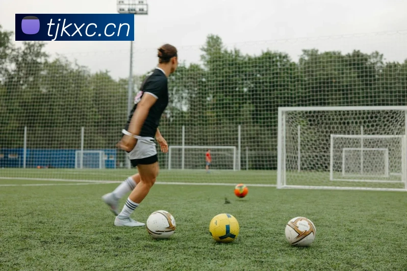 App Interface Preview