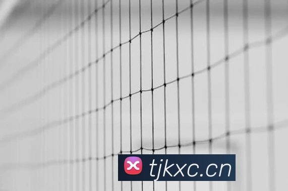 星空体育全站官网APP 封面图